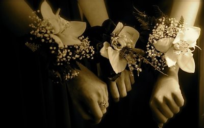 Going to the Ball