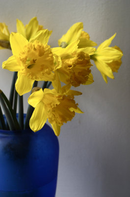 First Day of Spring?