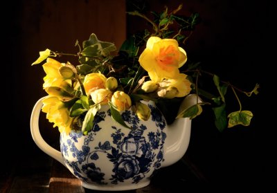 Teapot Daffs