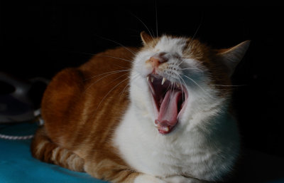 So Tired