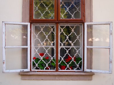 Buda Window