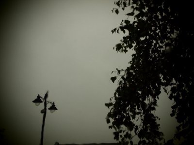 Summer Sky