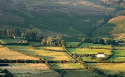 Mountain Farms