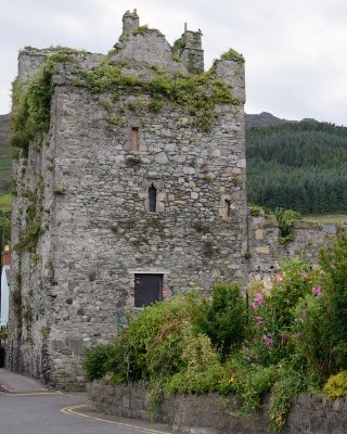 Taaffe's Castle
