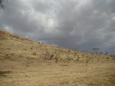 the rains are coming