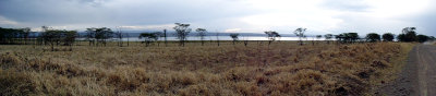 Game Drives at Lake Nakuru (animal pictures are here)