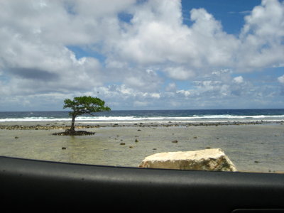 IMG_3675.JPG