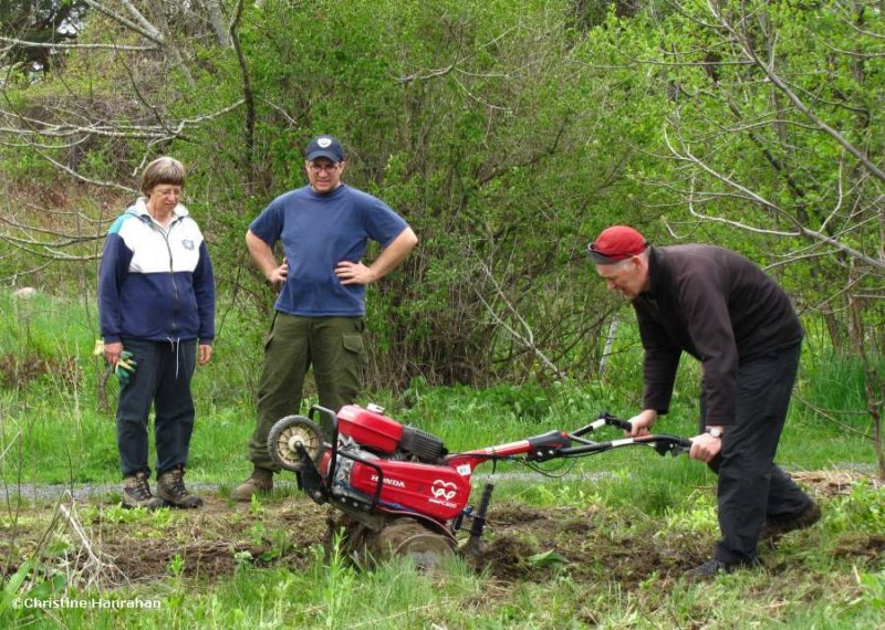 Rototilling the Butterfly Meadow