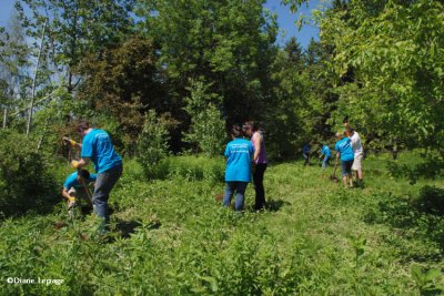 Volunteer team working on the Butterfly Meadow