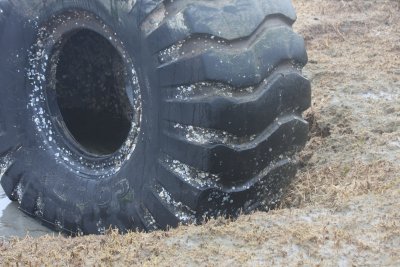 Huge tire on Saquish  April, 2011