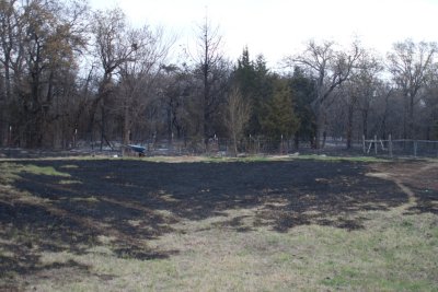 Dog yard looking NE.