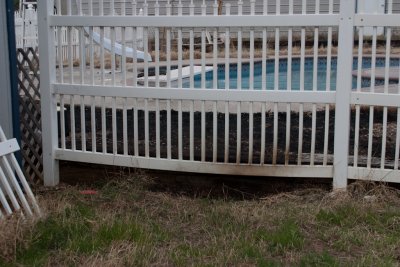 East pool fence looking W.