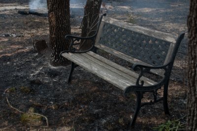 Bench is fine