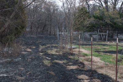 North dog yard fence, looking E