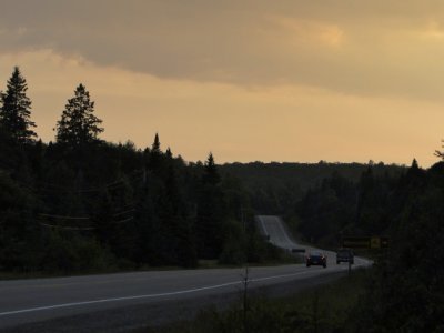 Algonquin at Dusk