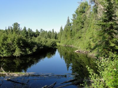 Oxtongue River along the Whiskey Rapids Trail