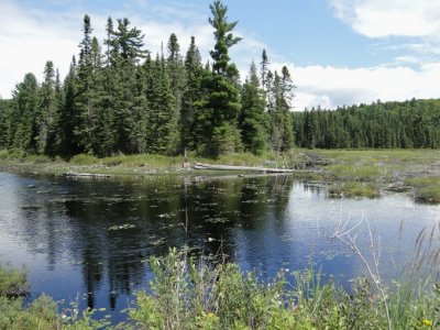 West Rose Lake