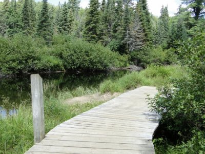 Boardwalk along the Whiskey Rapids Trail