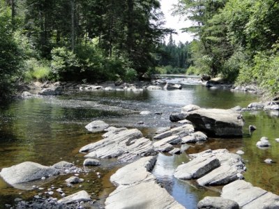 Whiskey Rapids