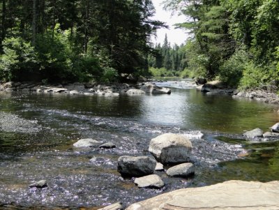 Whiskey Rapids