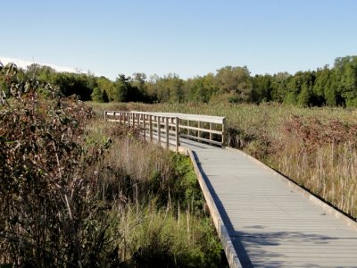 The Marsh Boardwalk