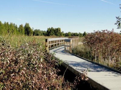 The Marsh Boardwalk