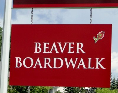 Welcome to the Beaver Boardwalk