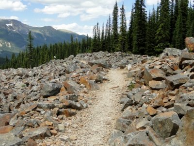 The Trail at Mount Edith Cavell