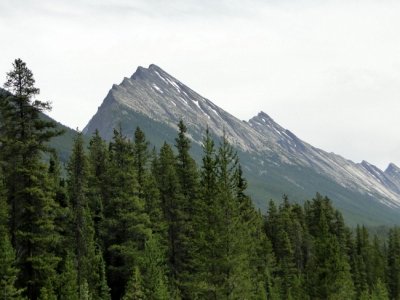 Along the Icefields Parkway