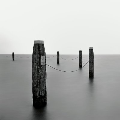 Black & White Michael Levin
