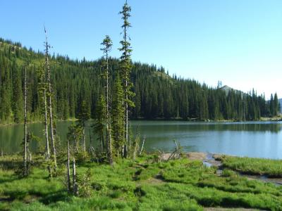 Early on Salmo Creston Summit.jpg