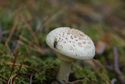 190.jpg