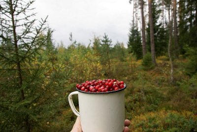 195.jpg
