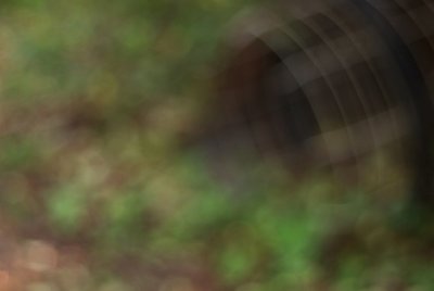 Barrel o' bokeh