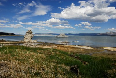 Close Mono Lake view _DSC0199 10 by 14 in.jpg