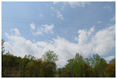 g4/08/291208/3/136903833.S8jZaFFd.jpg