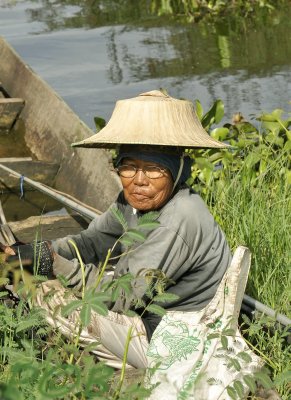 Swamp lady