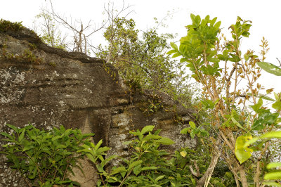Orchid rock, north-east side