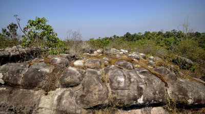 Nodular stones