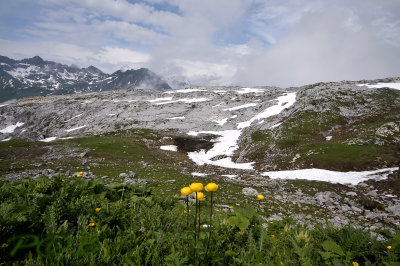 Alpen natianaal park, Lechquellengebirge 2400 mtr.