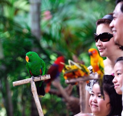 Jurong Bird Park, Singapore