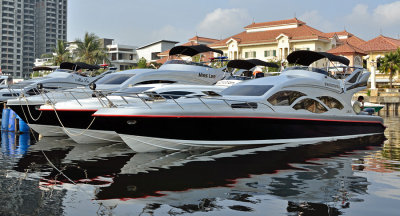 In the Marina