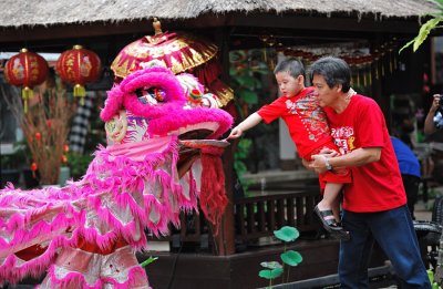 Chinese New Year 2012