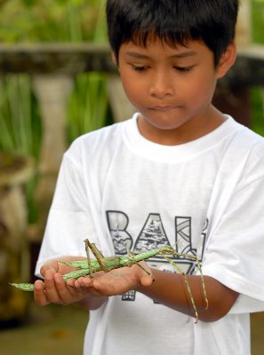 Jaya holding a stick insect December 2007 on Bali