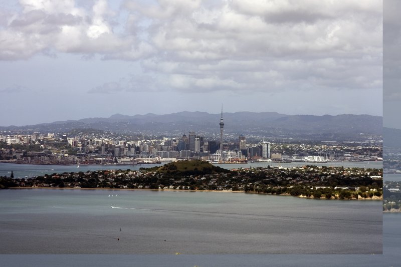 Auckland harbor from Rangitoto peak