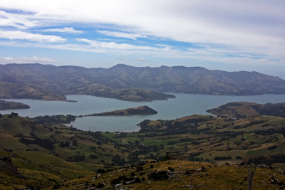 View of Akaroa harbor from the top of McDonald's walk.