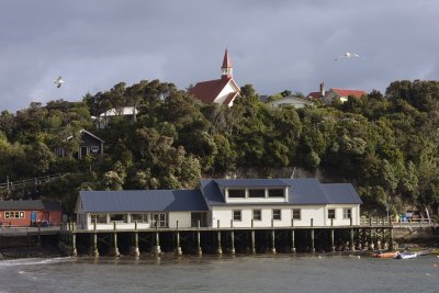 Town of Oban, Stewart island