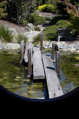 Bridge in Nelson Japanese garden