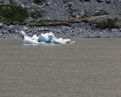 Iceberg from Tasman glacier.