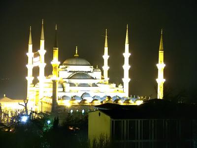 The Blue Mosque at Night